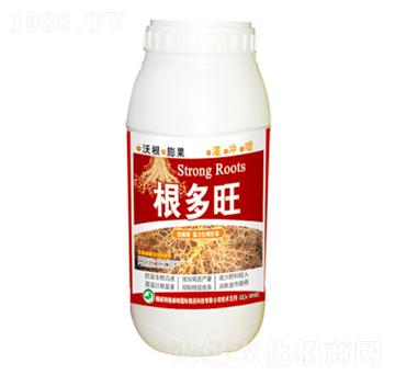 �������~���-���՘�(l��)-