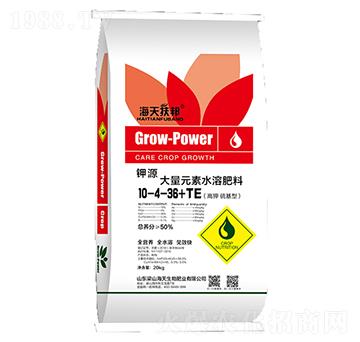 ����Ԫ��10-4-36