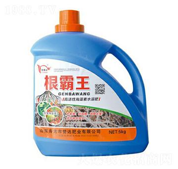 高活性海藻素水溶肥-根霸王譽(yù)達(dá)肥業(yè)