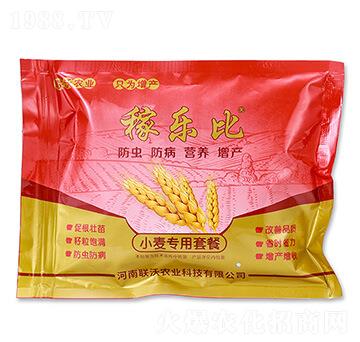 С����(zhu��n)���ײͣ����x(ch��ng)�棩