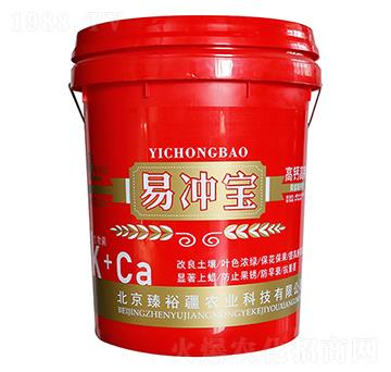 �כ_��-���|����