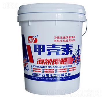 ����⛷ʼך���-���|����