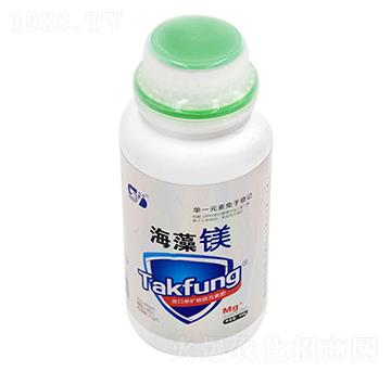 �����V-���|����