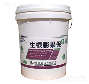 ��ך���-���������-̩�_�r��