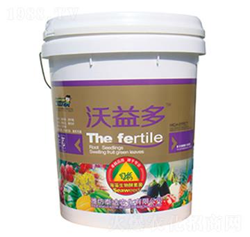 ����������ؾ�-�����-̩�_�r��