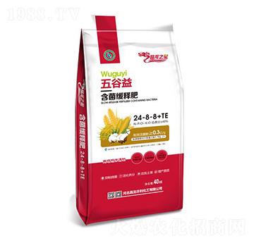 五谷益含菌緩釋肥24-8-8+TE-晶龍之星-中仁集團(tuán)