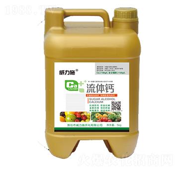 ���w�}-����ʩ