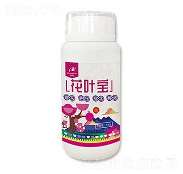 ���~��-��Դ����