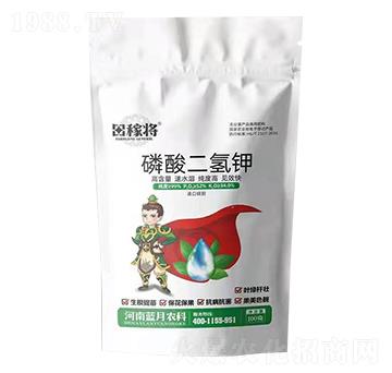 ��������-��ڌ�-�{���r(n��ng)��