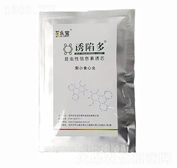 ��Сʳ���x���Tо-�T�ݶ�-�٘���