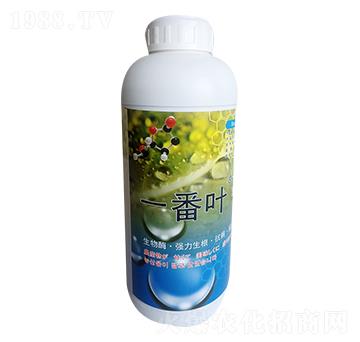 һ���~-������