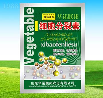 ����������-�A�Z(li��n)��