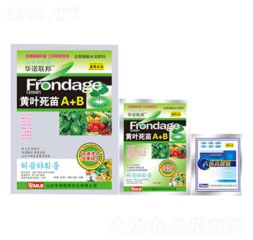 �S�~����A+B-�A�Z(li��n)