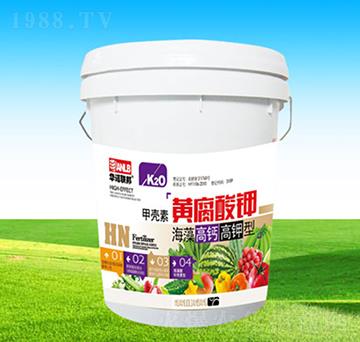 �ך����S����⛺�����}