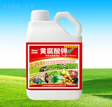 �S�����-�A�Z(li��n)��