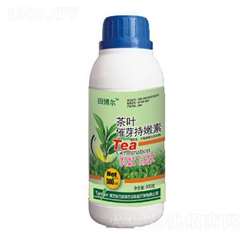 茶葉催芽持嫩劑-東方潤(rùn)澤