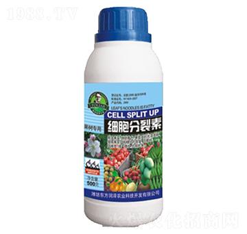 細(xì)胞分裂素-東方潤(rùn)澤