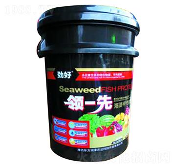 海藻甲殼素型-領(lǐng)-先-東方潤澤