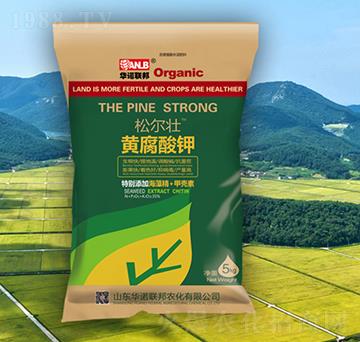 �ɠ����S�����-�A�Z(li��n)