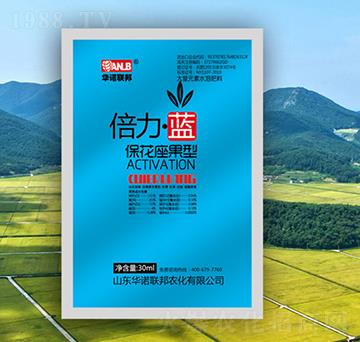 �������{�����������ͣ�