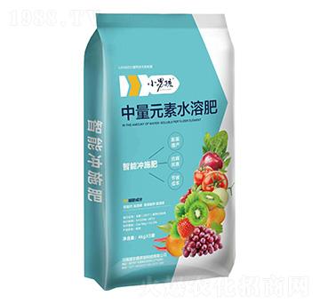 ����Ԫ��ˮ�ܷ�-С�к�-����ɭ