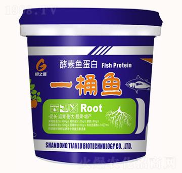 酵素魚(yú)蛋白-一桶魚(yú)-根之道