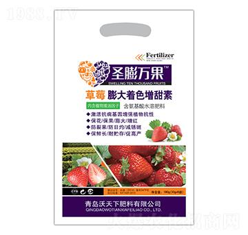 草莓膨大增甜著色素-圣膨萬(wàn)果-沃天下