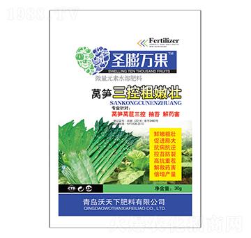 萵筍三控粗嫩壯-圣膨萬(wàn)果-沃天下