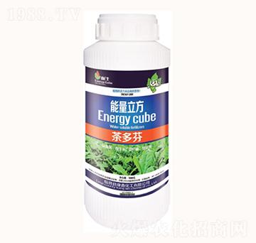 茶多芬-能量立方-康鑫化工