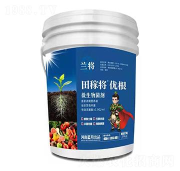 微生物菌劑-田稼將優(yōu)根-蘭將-藍月農(nóng)科