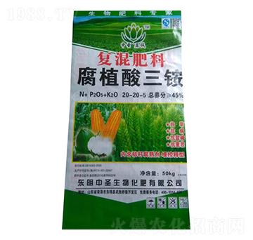 ��(f��)�����20-20-5-��ֲ�����@-��ʥ���\(ch��ng)