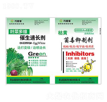 葉菜多維催生速長劑+枯黃菌毒抑制劑-巧管家-潤澤