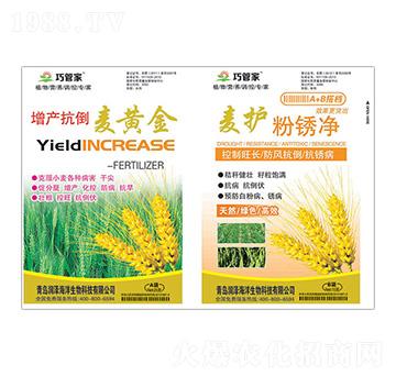 增產抗倒麥黃金+麥護粉銹凈-巧管家-潤澤