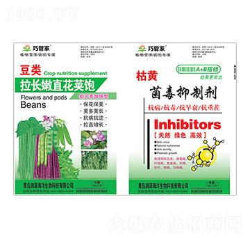 ���(l��i)���L(zh��ng)��ֱ���v�+���S�������Ƅ�-�ɹܼ�-��(r��n)��