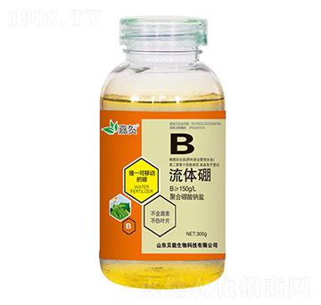 ���w��-ؐ������