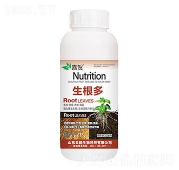 ������-ؐ������