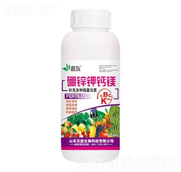 ���\��}�V-ؐ������