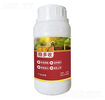 250g穩(wěn)多收-斧王-天宸夢(mèng)