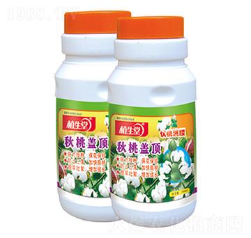 �����w� ֲ���� �R������