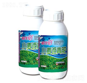 С������� ֲ���� �R������