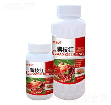 �M֦�t ֲ���� �R������