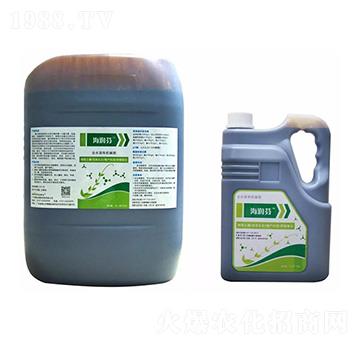 ����(r��n)�� �S������