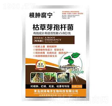 枯草芽孢桿菌 根腫腐寧 潤(rùn)澤