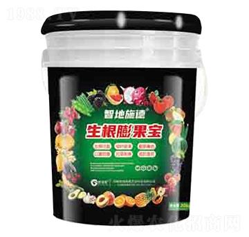 生根膨果寶 潤(rùn)澤