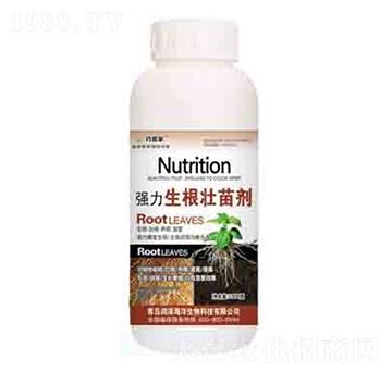 強(qiáng)力生根壯苗劑 巧管家 潤(rùn)澤
