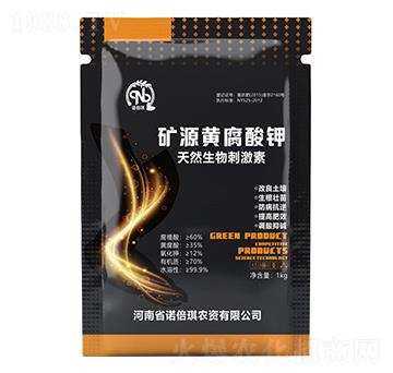 �VԴ�S�����-�Z����