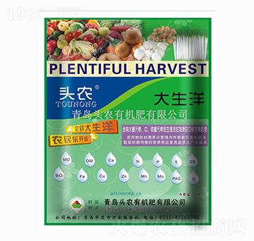 大生洋-頭農(nóng)