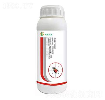 11%������ ���ɻ��� ��������