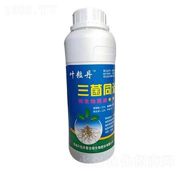 ����ͬ�Σ�ˮ���� �~����