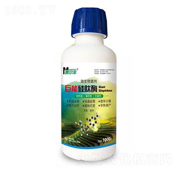 ���ܹ���ø΢�������-�����S-���Π�